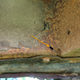 Image for article titled How I Turned A Free Jeep Grand Wagoneer Into A Decent Example Of A True Classic